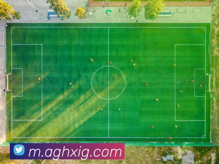 ag百家乐平台生态图